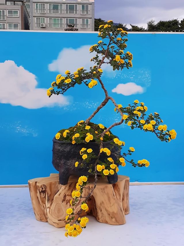 portrait of a plant