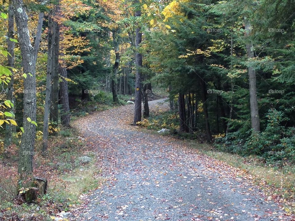 Carriage trail in Autumn,  Minnewaska State Park, NY