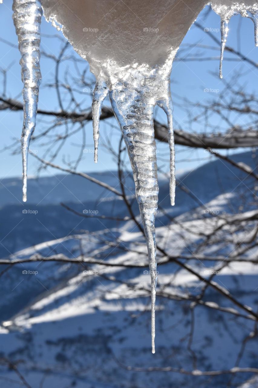 Icicle 