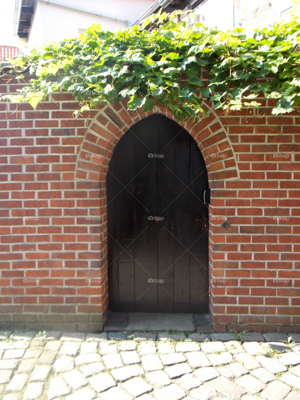 Doors of Lüneburg