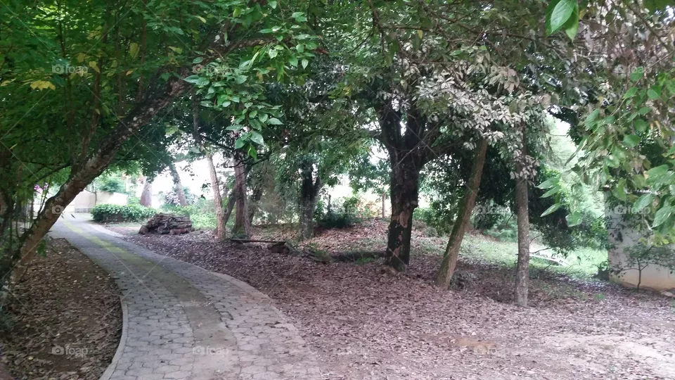 paisagem