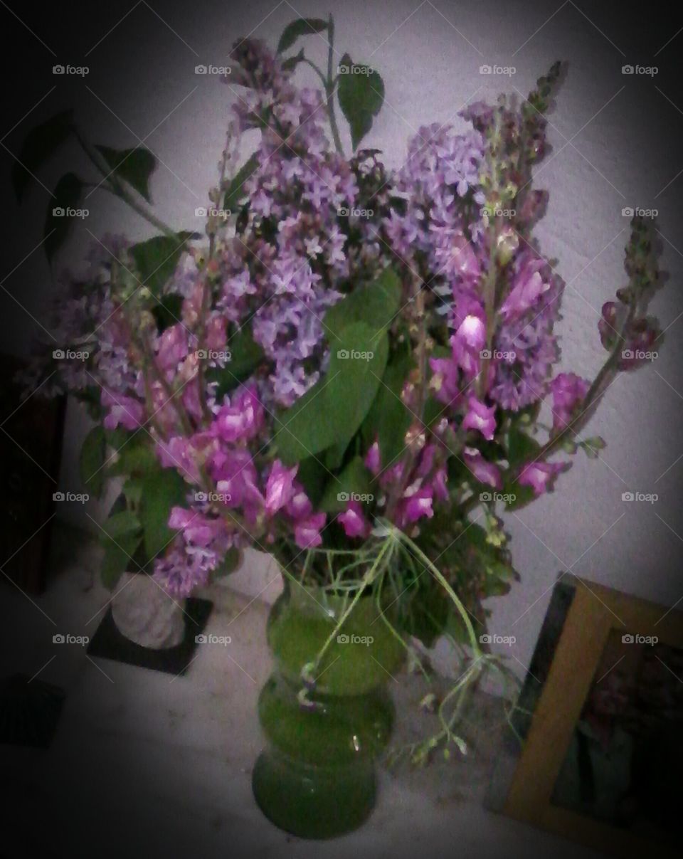 purple flowers in a green vase