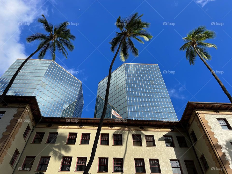View of the Dillingham Transportation Building from Bishop Street in Downtown Honolulu Hawaii 