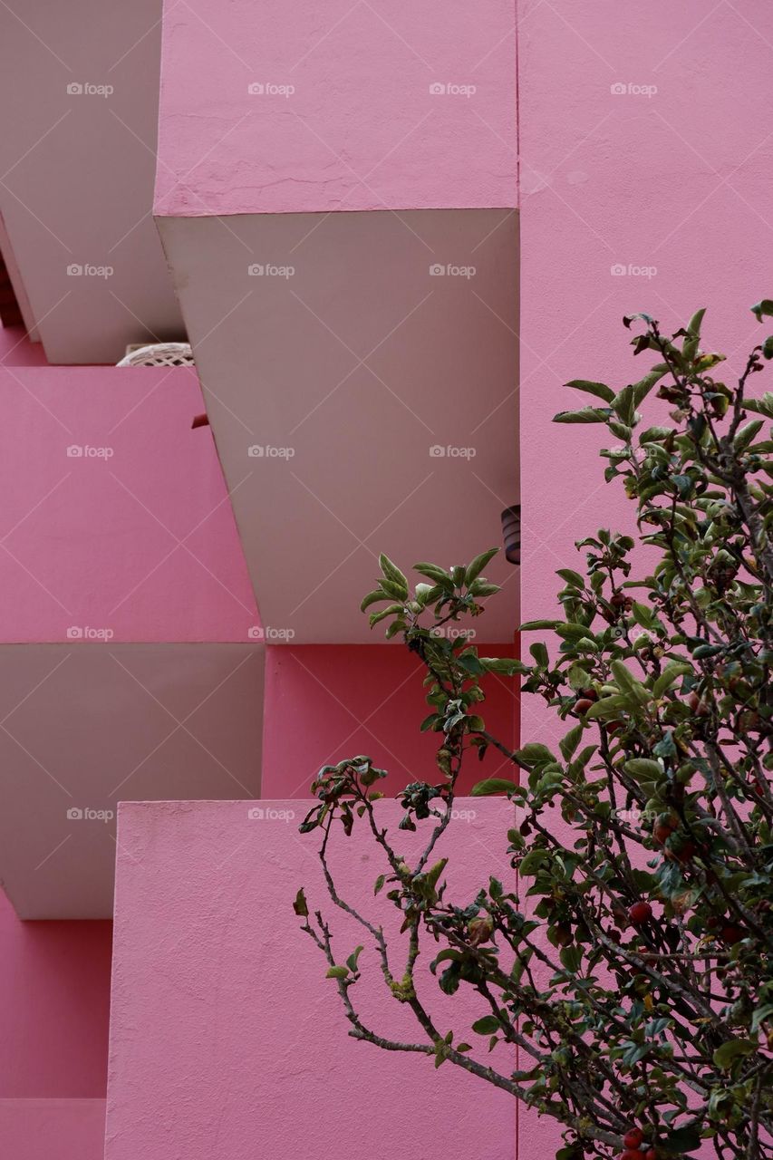 Pink building and balconies 