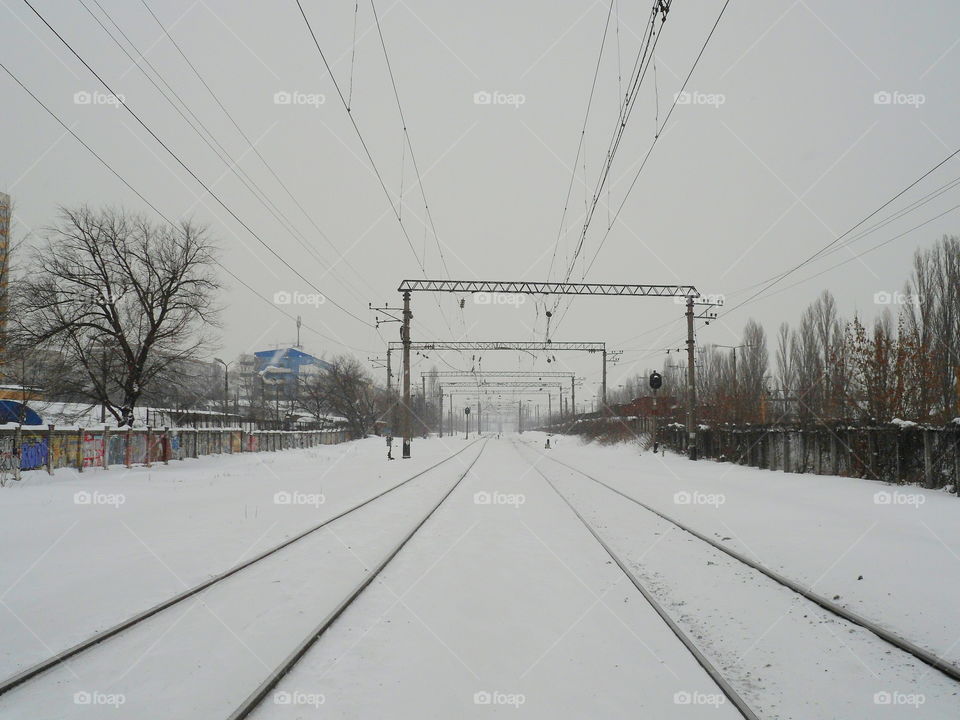 winter landscape in the city of Kiev