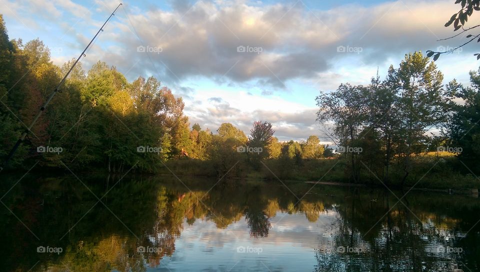 Tree, Landscape, Nature, Lake, Reflection