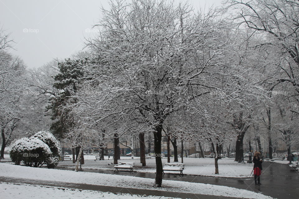 Park at snow in December