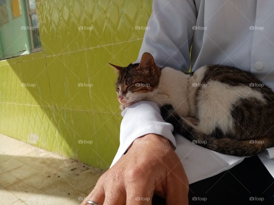 Just a few minutes this cat Will be my freind