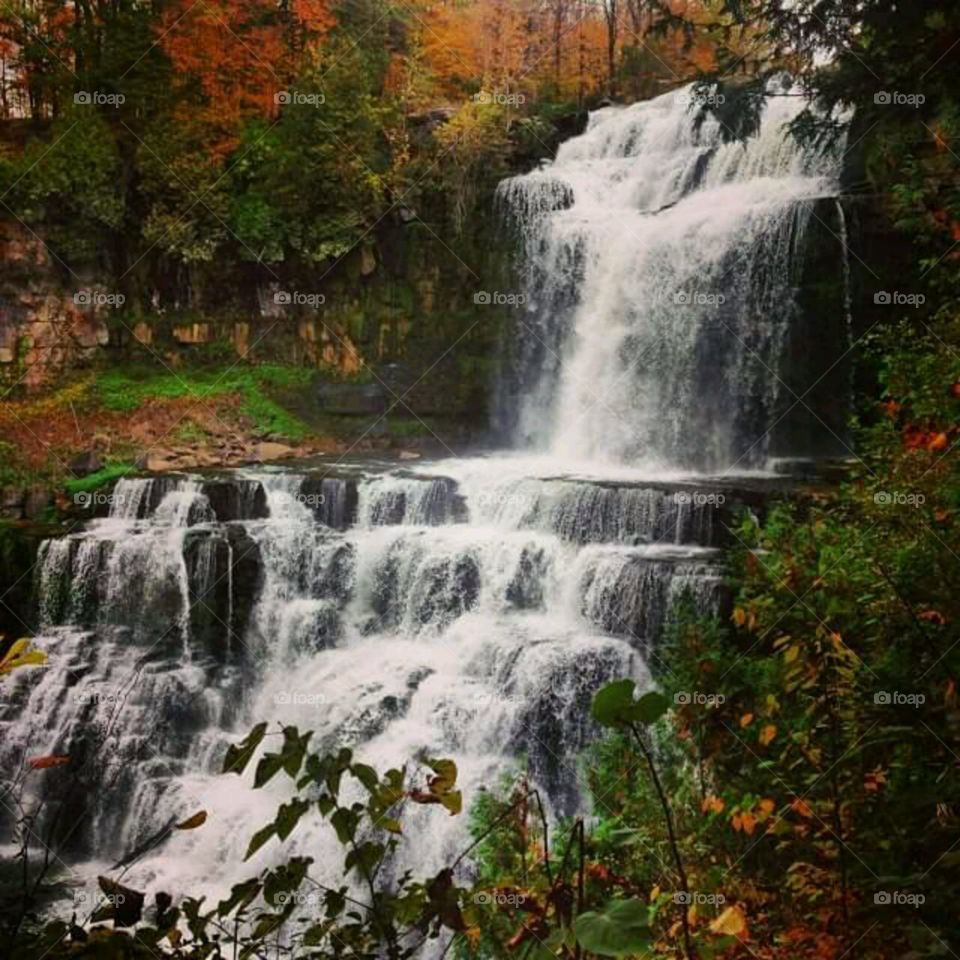 Falls in the fall