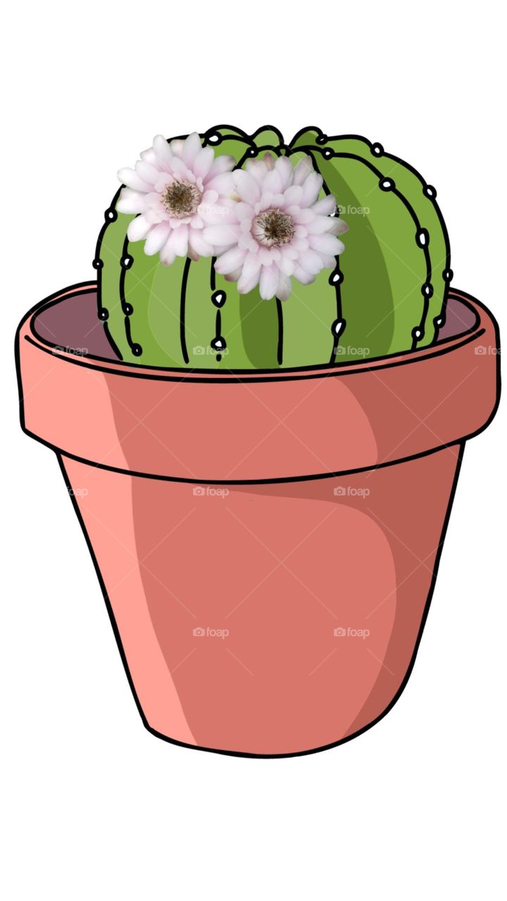 Wallpaper, background, portrait, cactus, fabric pattern