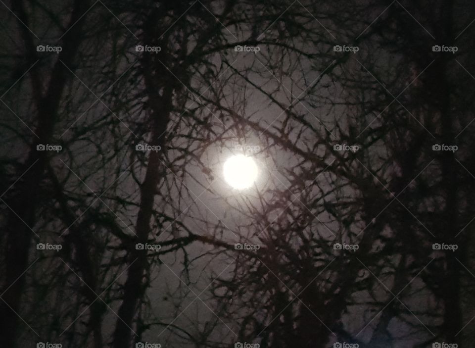 haunting full moon