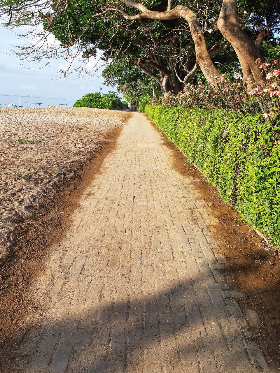 A silent sidewalk at the beach