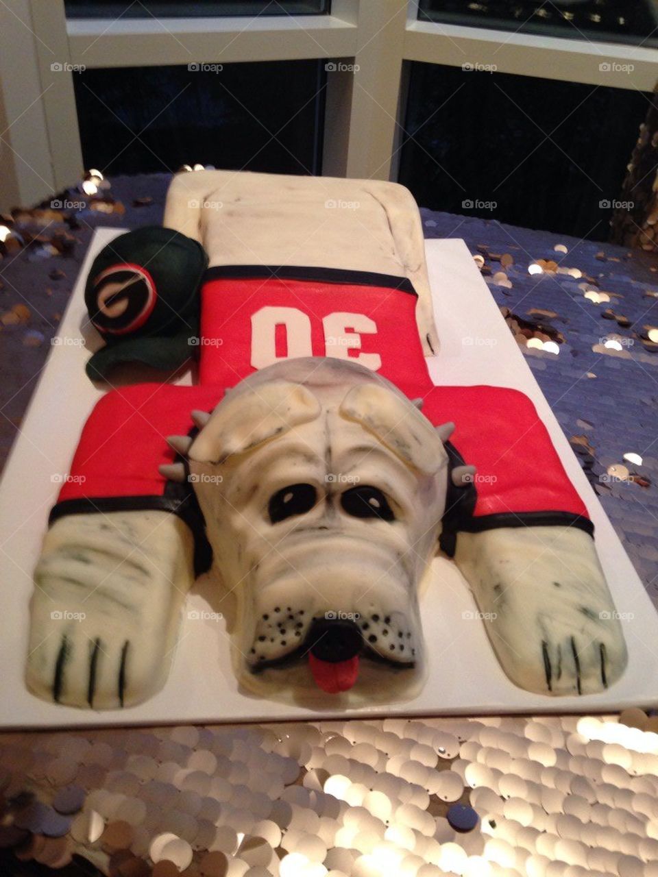 University of Georgia Groom's Cake