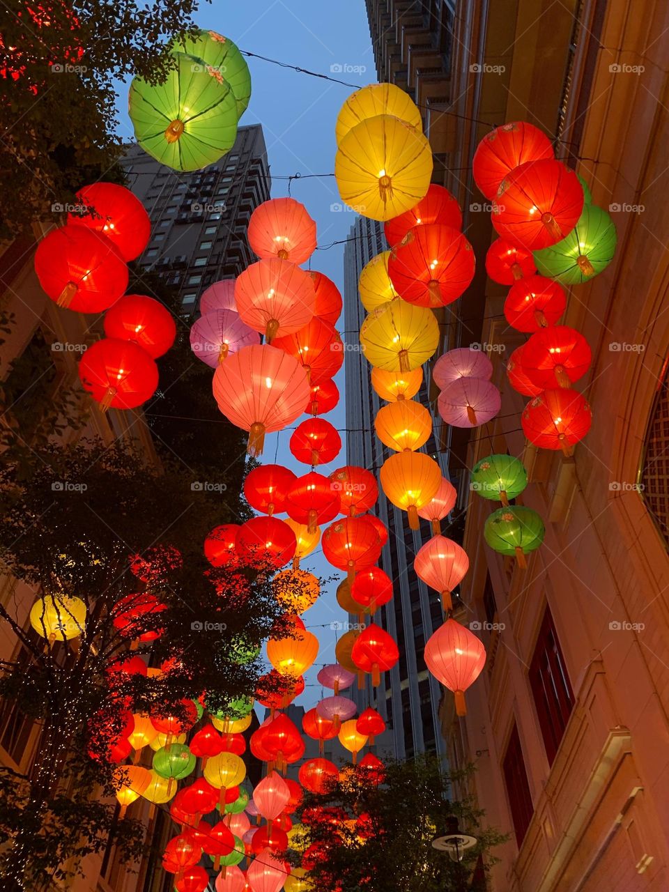 Lunar New Year is coming.