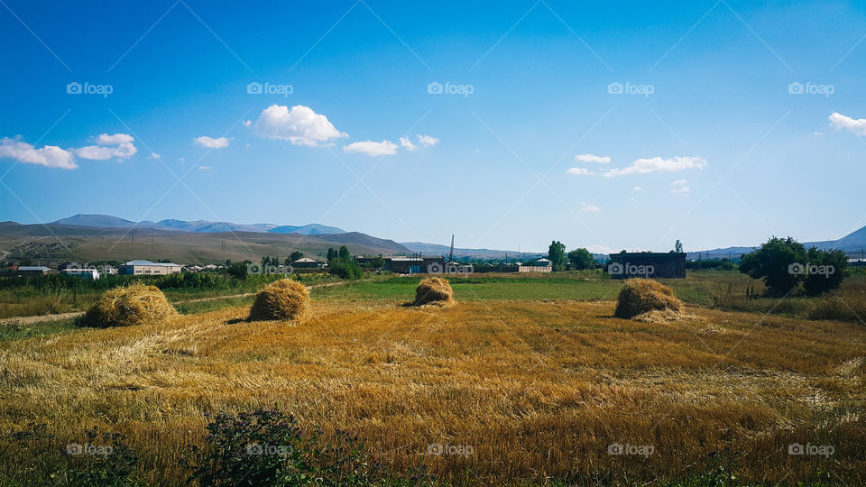 A long shot of hay bales gathered together on a wheat field on a hot and Sunny summer day, far visible houses, mountains and very beautiful clouds, agricultural landscape