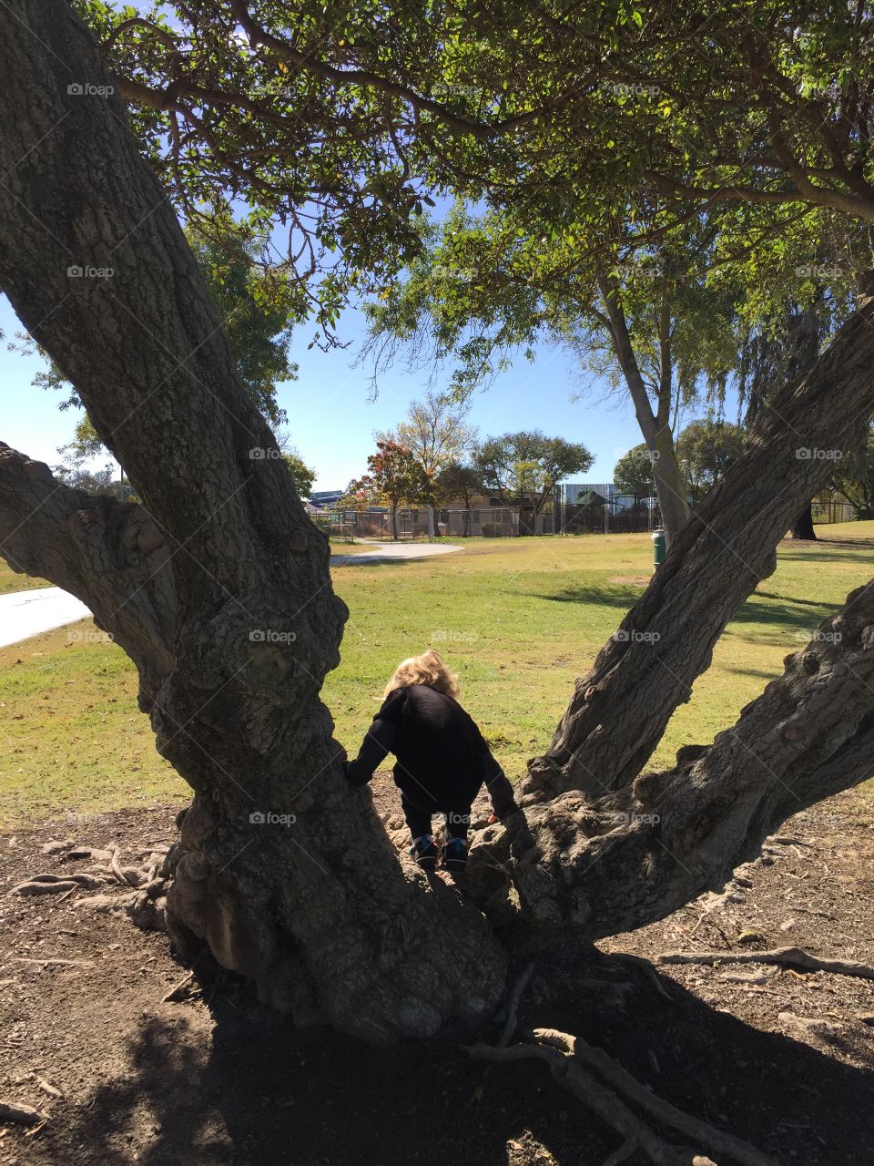 Child on a tree