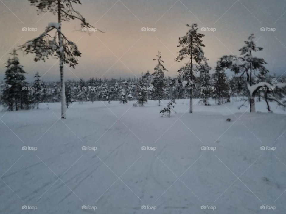 Lapland