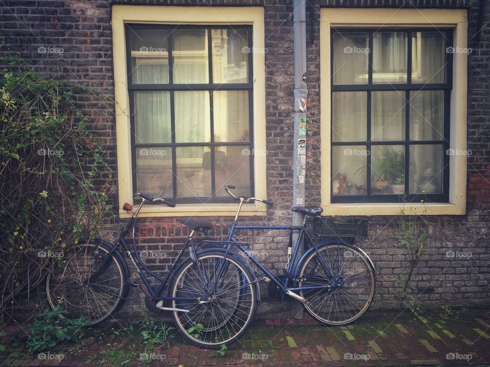 Windows and bicycles