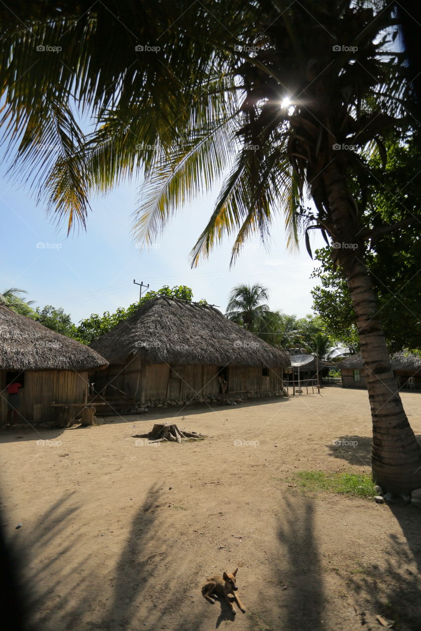 sun-kissed traditional village in Timor Leste
