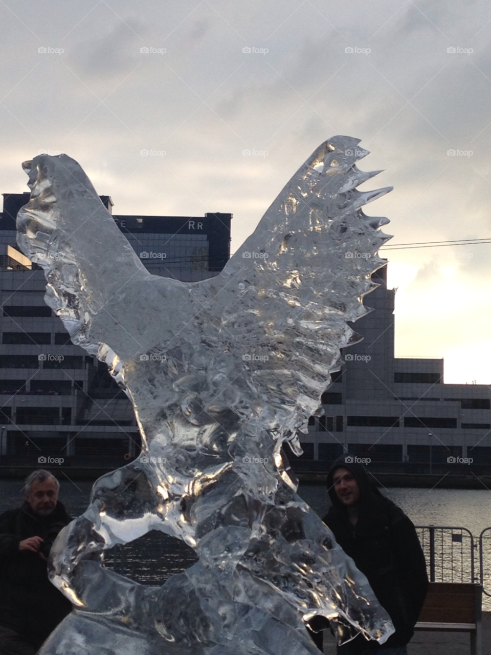 ice ice sculpture eagle by izabela.cib