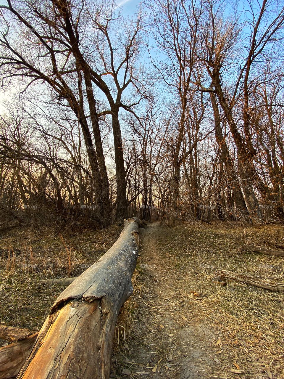 Nature trail 