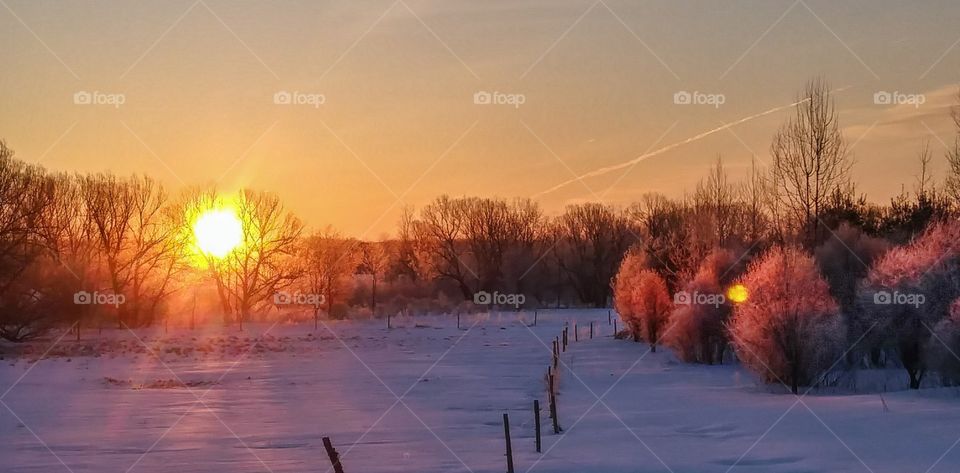 Frozen Dawn