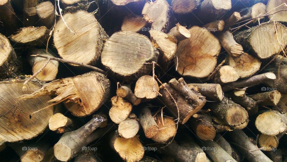 logs of wood