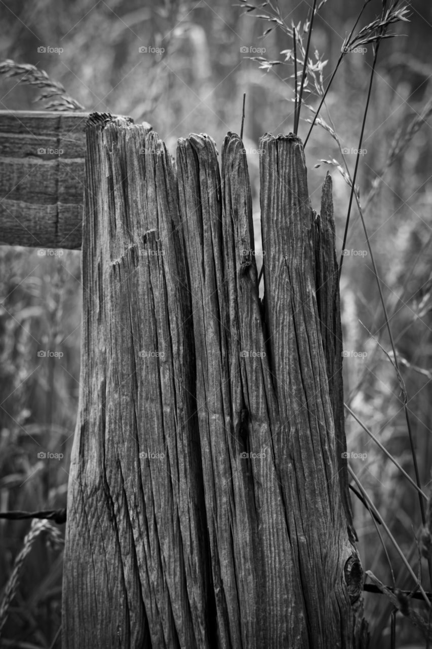 Broken fence post monochrome