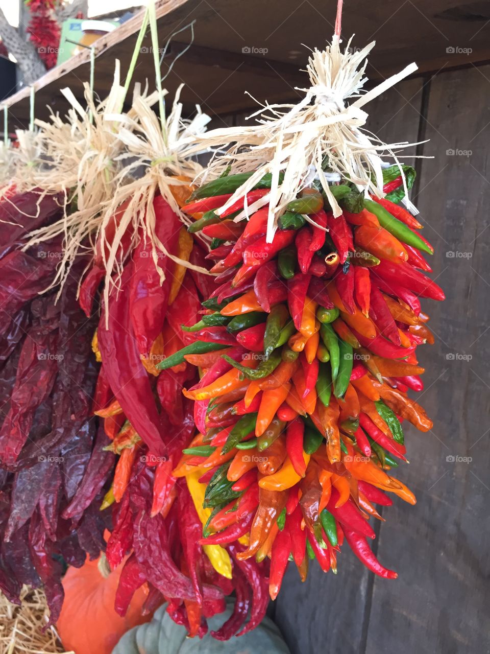 Red orange green peppers dried and hanging as decoration 