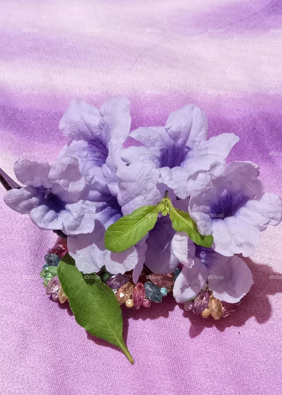 Petunia is very beautiful lavender colour flower. In India this flower blooms in spring 🌼🌱 season.