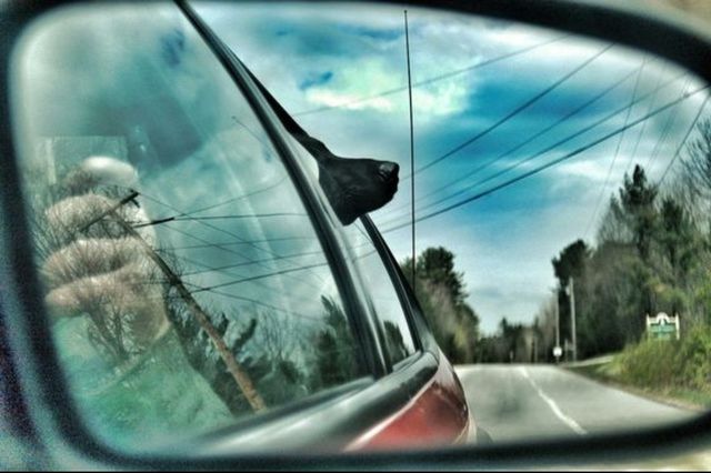 Car call
