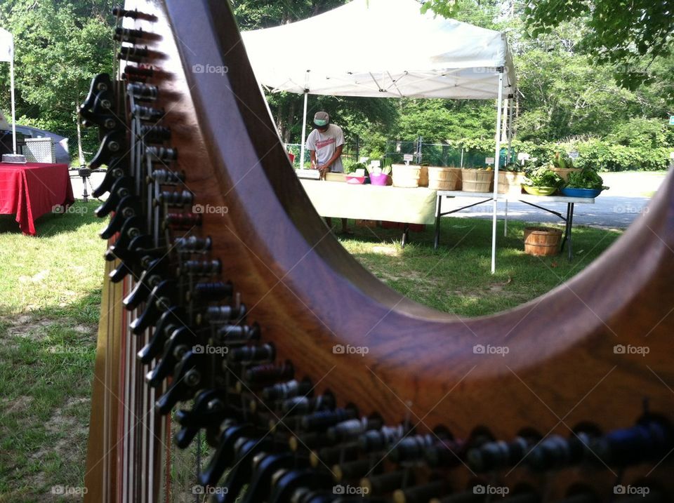 Harper's view of the Farmers Market