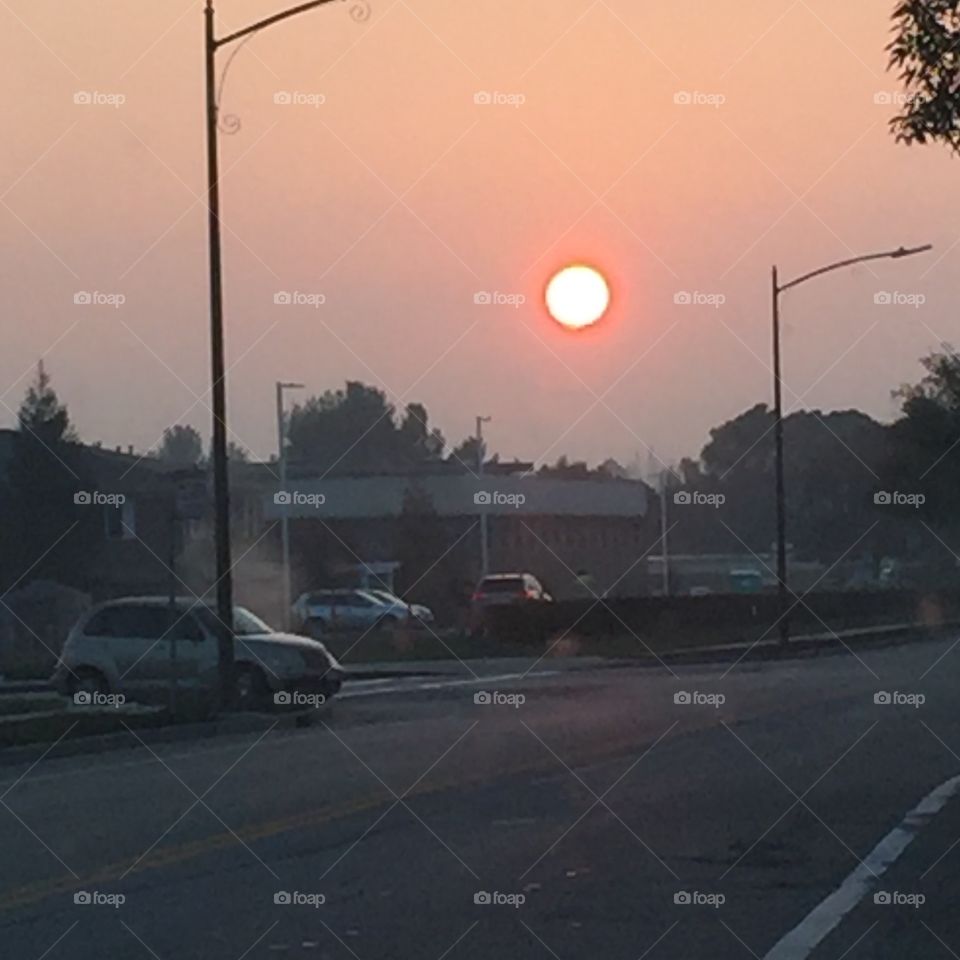 Foggy sunrise 