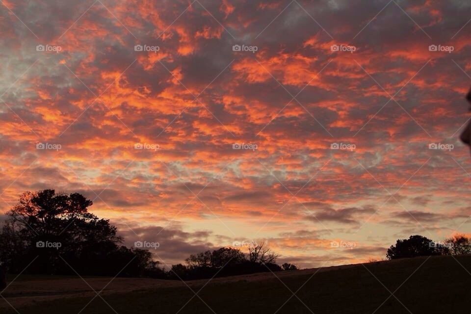 Cotton Candy Sunset