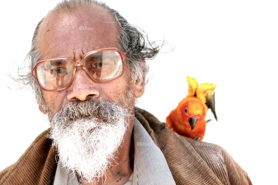 Man with Bird. Senior Citizen with colorful bird on shoulder in the street