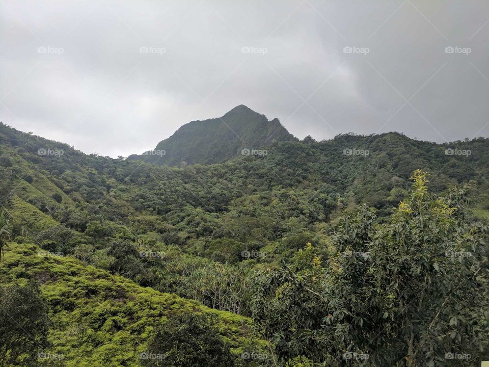 Tropical Mountain Landscape