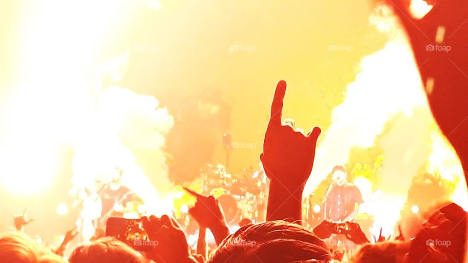 Collecting Memories dhanssen