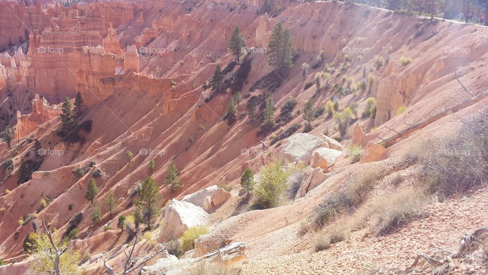 Bryce Canyon