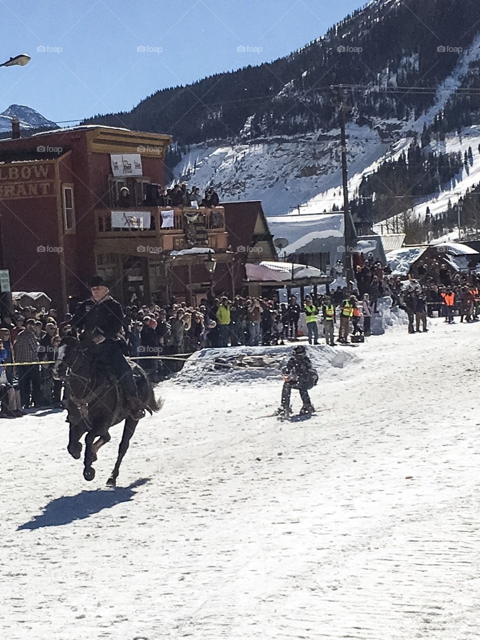 Skijoring 