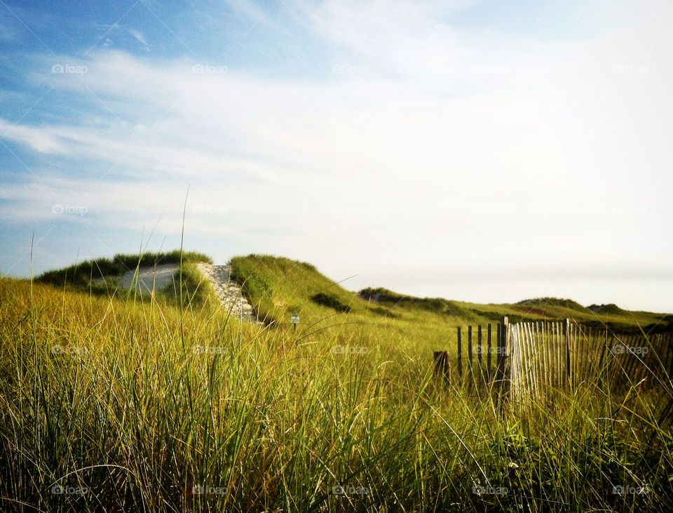 beach sky green grass by meredithk