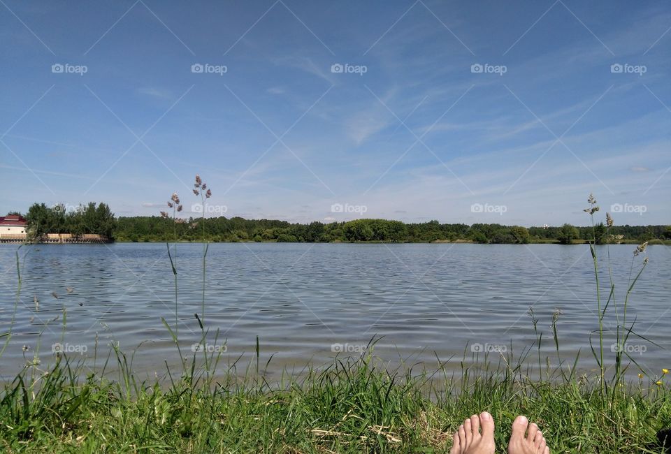 resting on a lake summer landscape