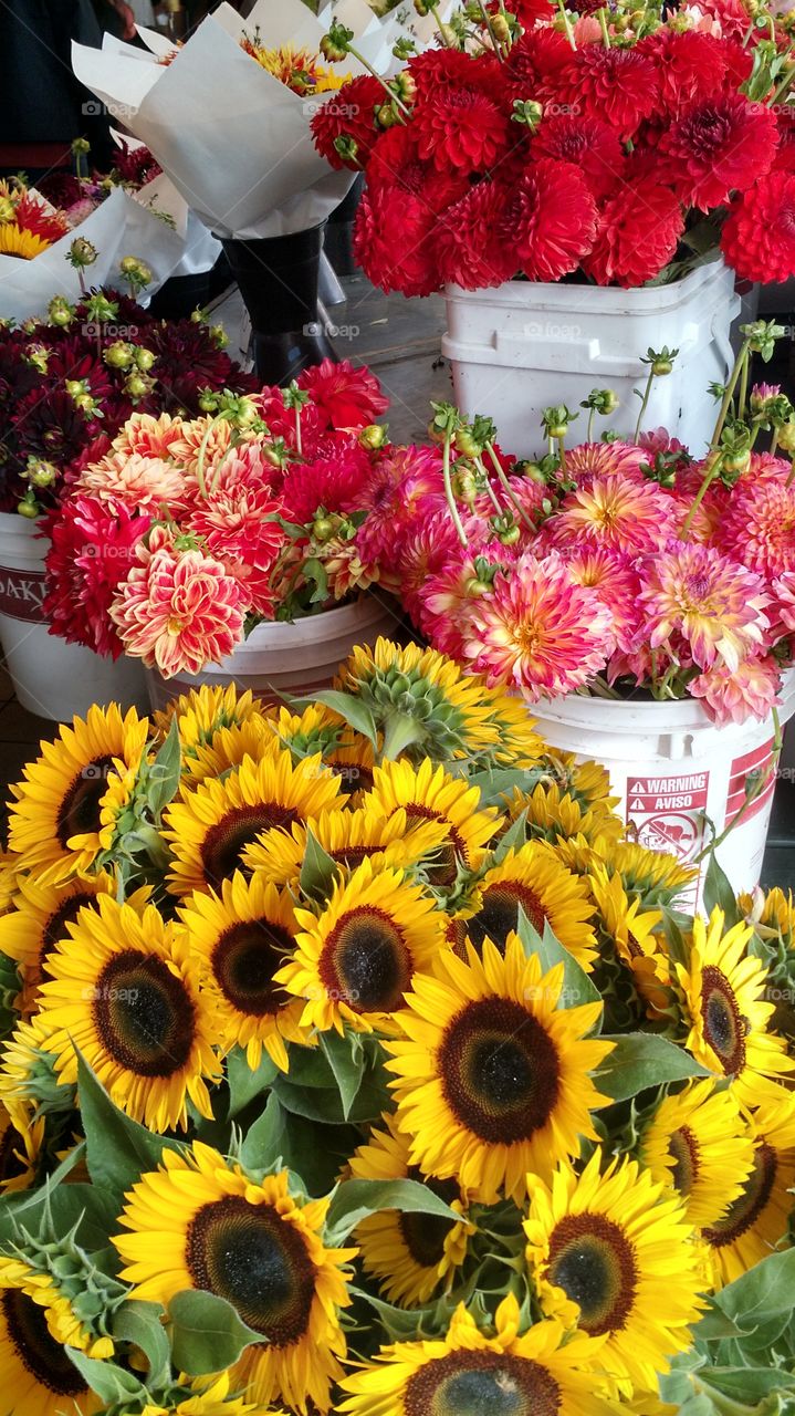 Bouquets for sale. Seattle August 2015