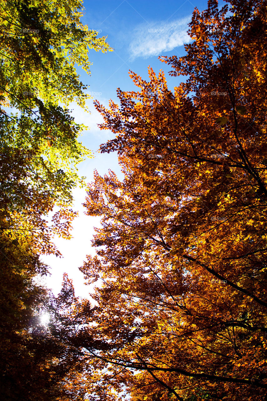 Autumn in Germany