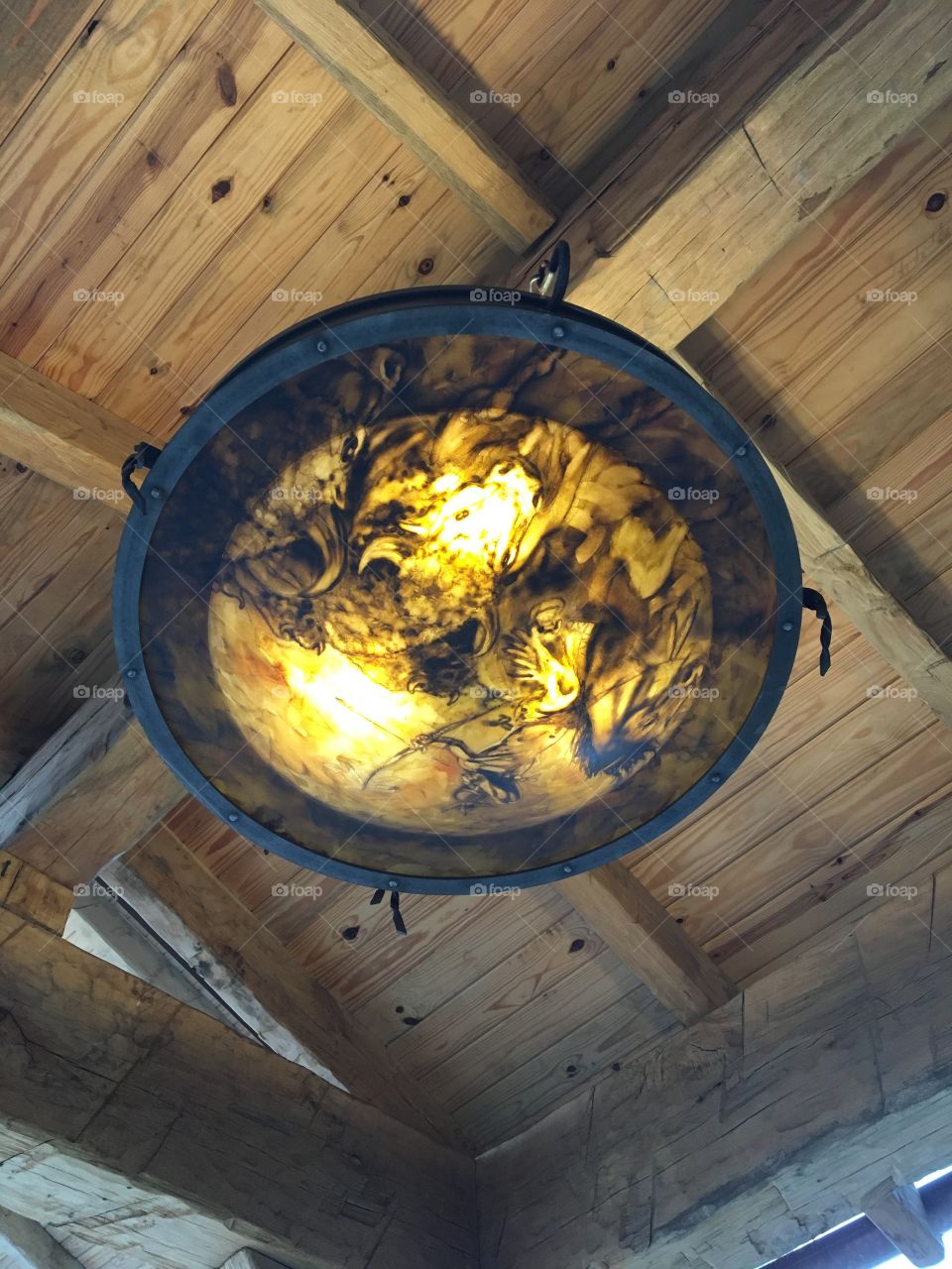 Light Fixture