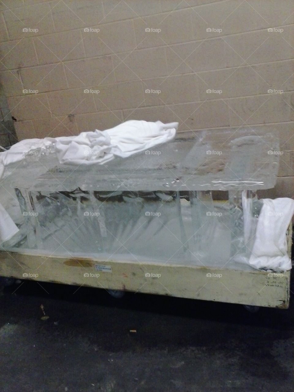 Ice cube 
