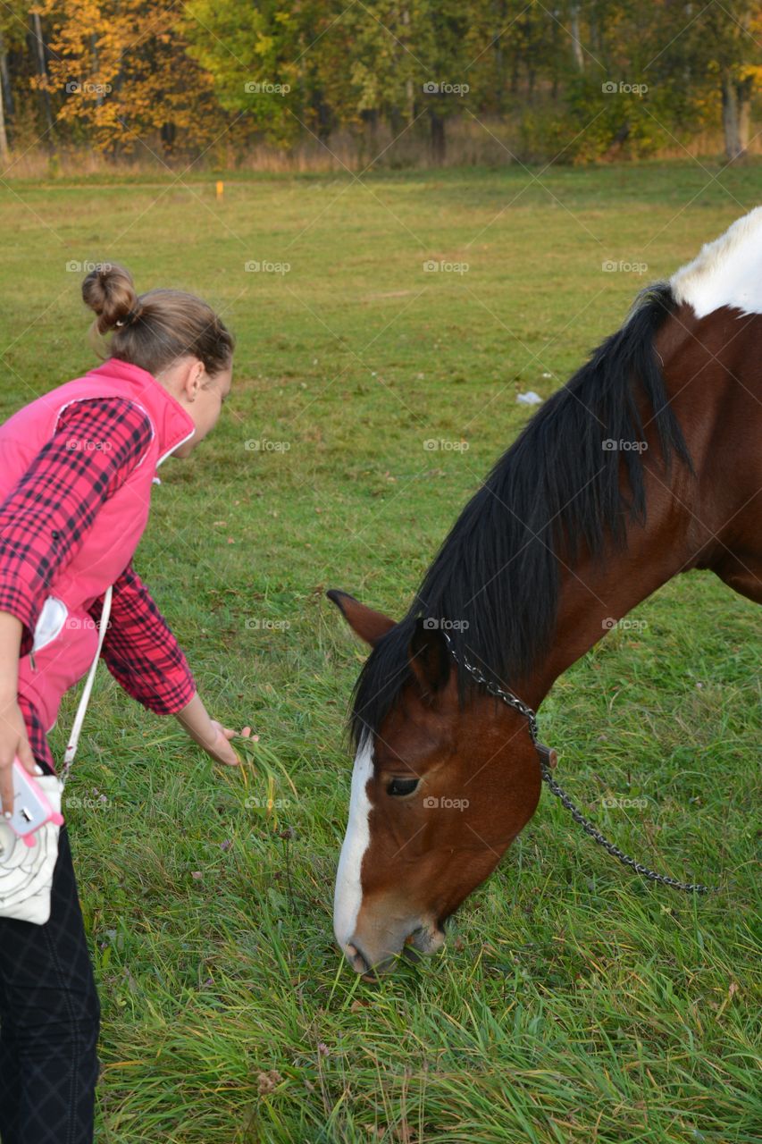 Mammal, Cavalry, Horse, Farm, Pasture