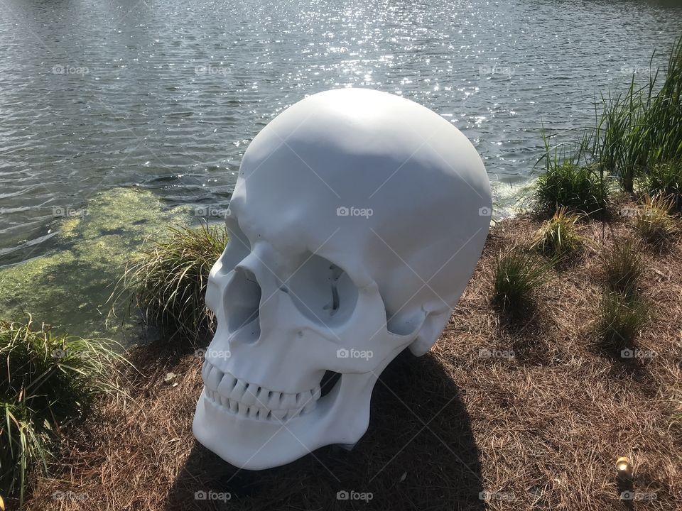 Besthoff Sculpture Garden, New Orleans 