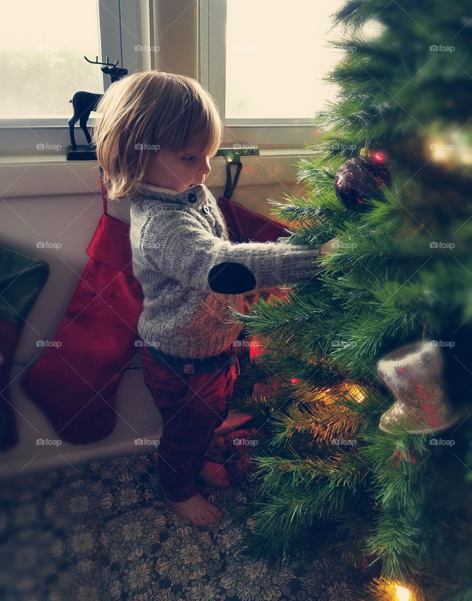Dressing the Tree