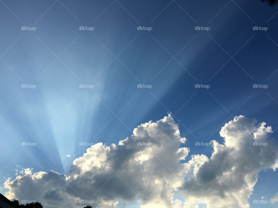 Sun rays 