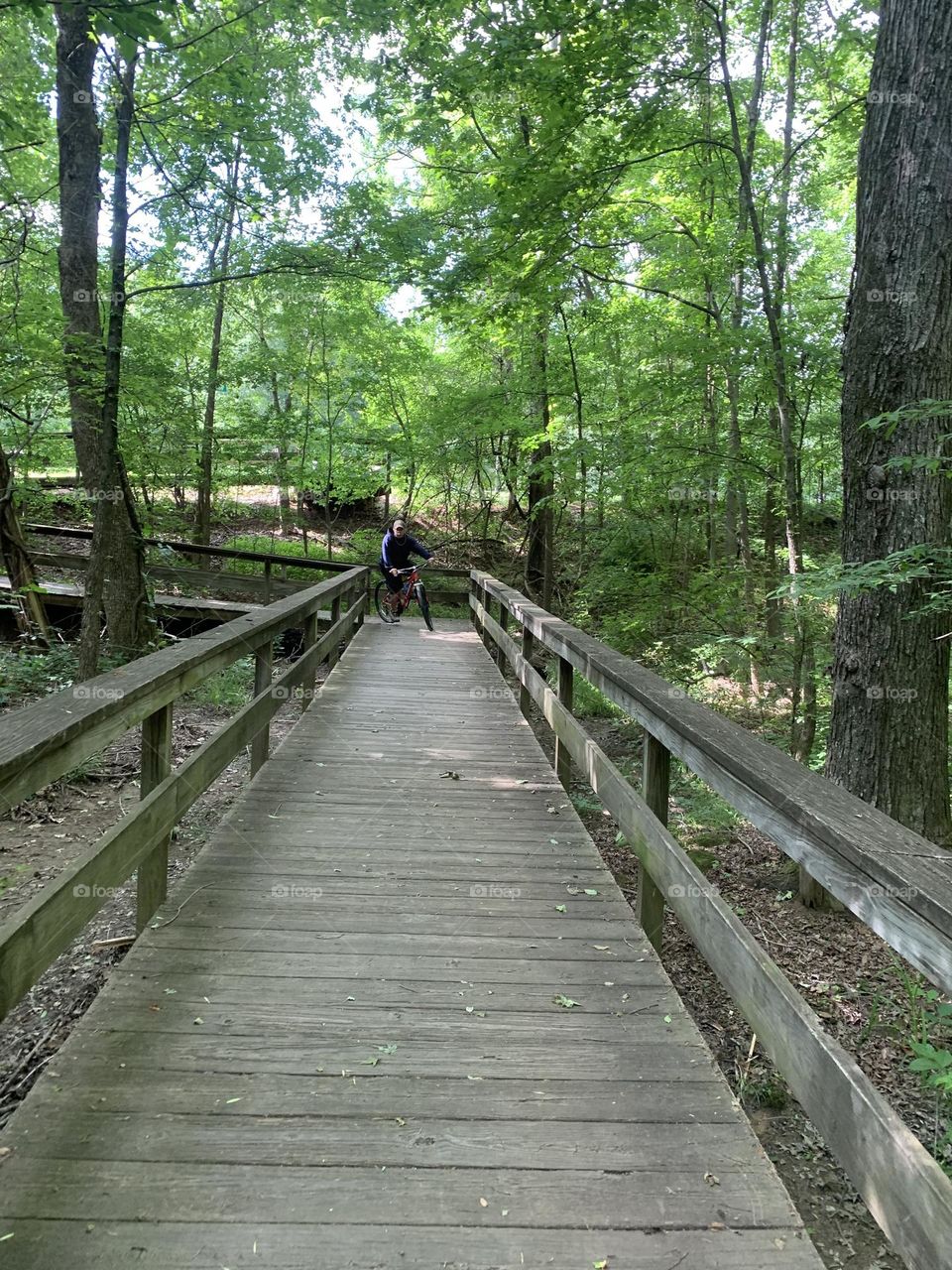 Springtime on the Trails